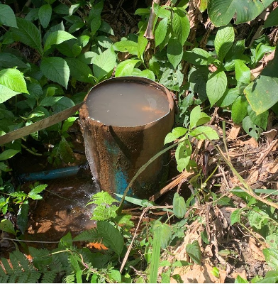 Fotografía de las condiciones de la captación del agua de la comunidad de Las Pavas para inicios del 2025